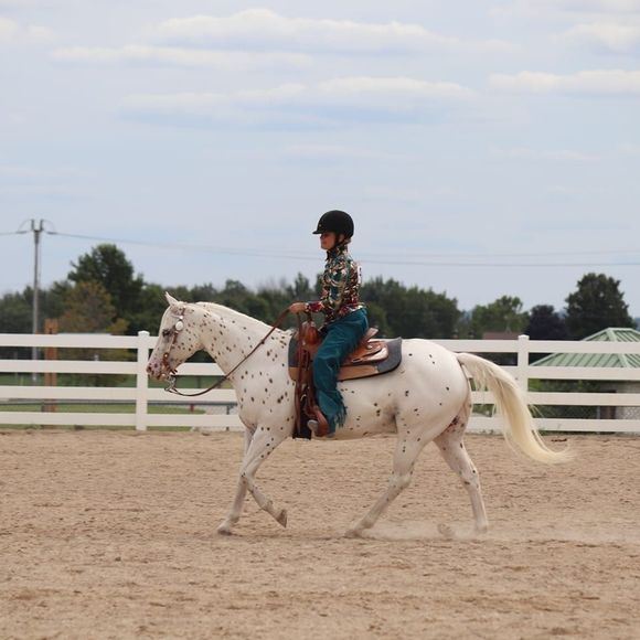 Meet your Posher, Heather - Picture 1 of 1